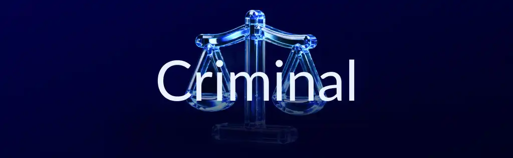 Capa da categoria Direito Penal