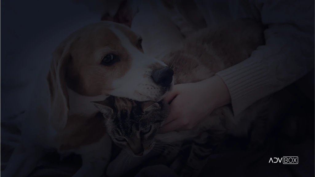 direito dos animais
