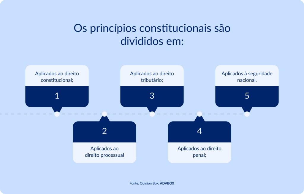 imagem mostrando como os princípios constitucionais são divididos, com aplicação no direito constitucional, processual, tributário, penal e na segurança nacional