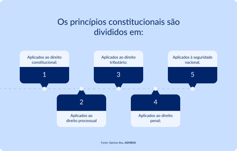 Princípios constitucionais: quais são e como são aplicados?