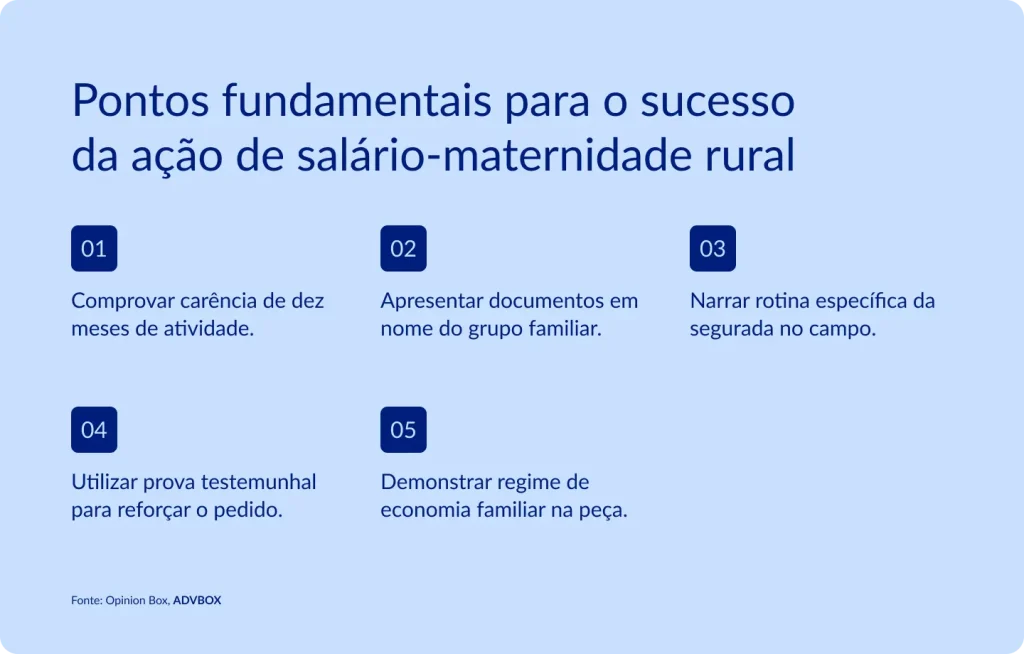 Infográfico com os 5 pontos fundamentais para aumentar as chances de êxito em uma ação de salário-maternidade rural, cobrindo desde a comprovação do vínculo com a atividade agrícola até a construção de uma narrativa familiar convincente no processo
