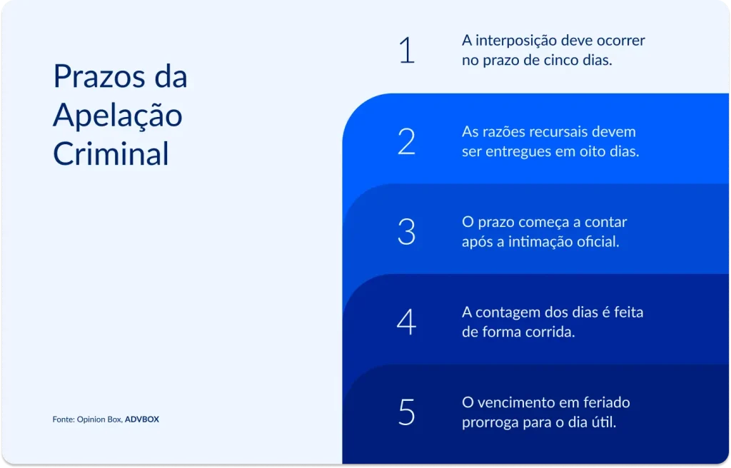 Infográfico detalhando as 5 regras que regem os prazos da apelação criminal no Brasil, esclarecendo o momento de início da contagem, a forma de cômputo dos dias e o tratamento dado aos vencimentos que recaem em feriados ou dias não úteis. 